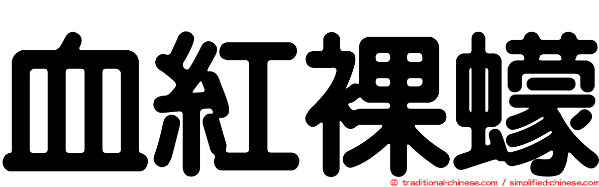 血紅裸蠓