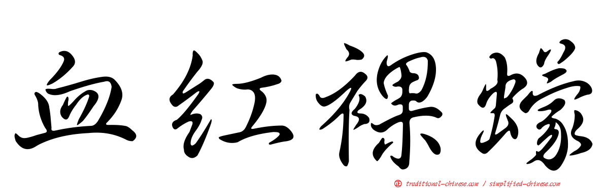 血紅裸蠓