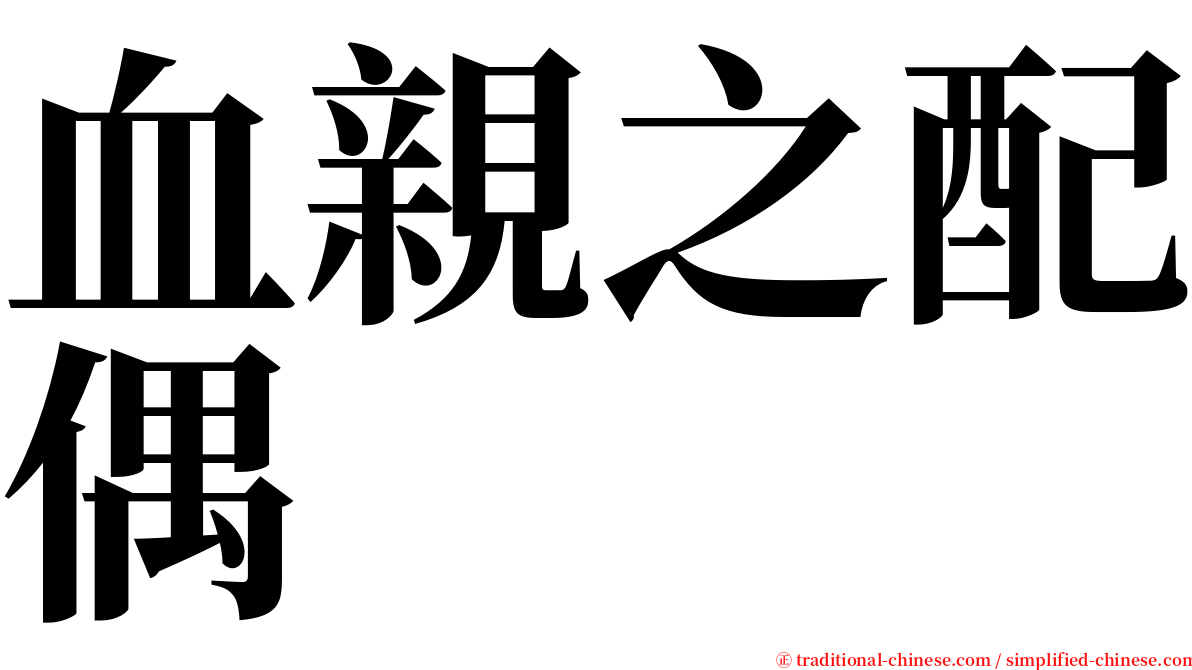 血親之配偶 serif font