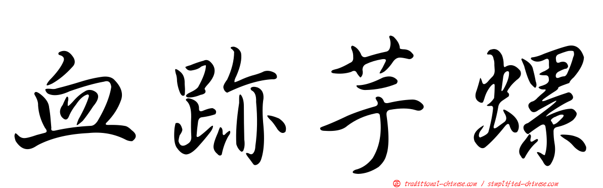 血跡芋螺