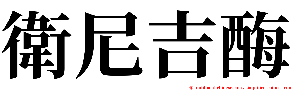 衛尼吉酶 serif font