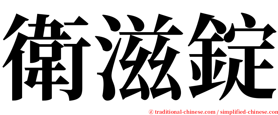 衛滋錠 serif font