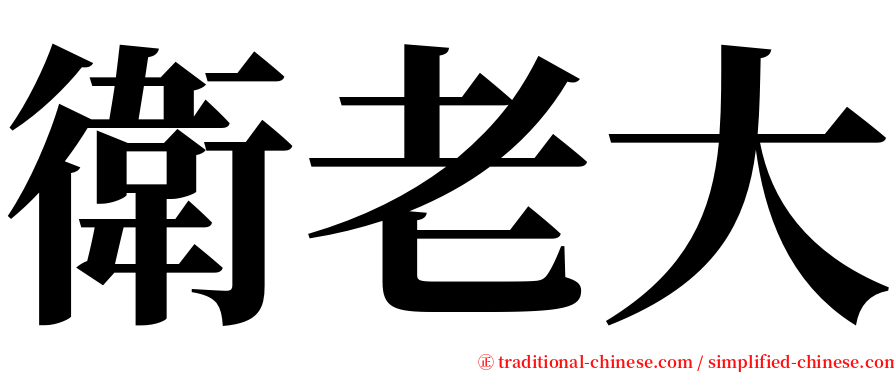 衛老大 serif font