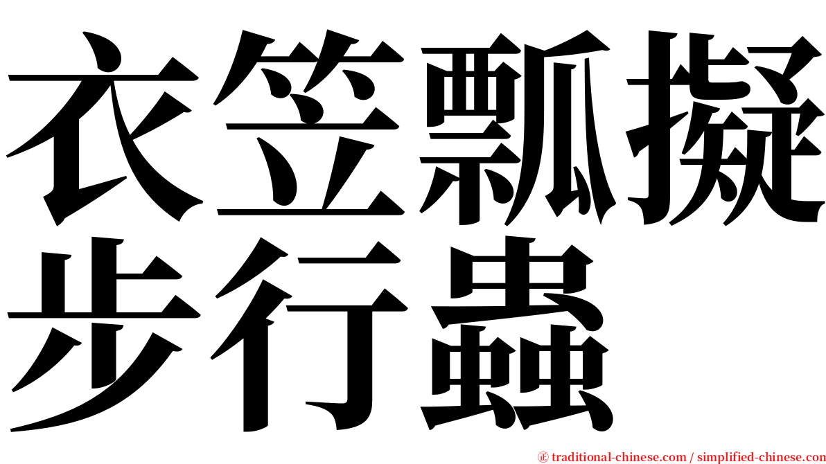 衣笠瓢擬步行蟲 serif font