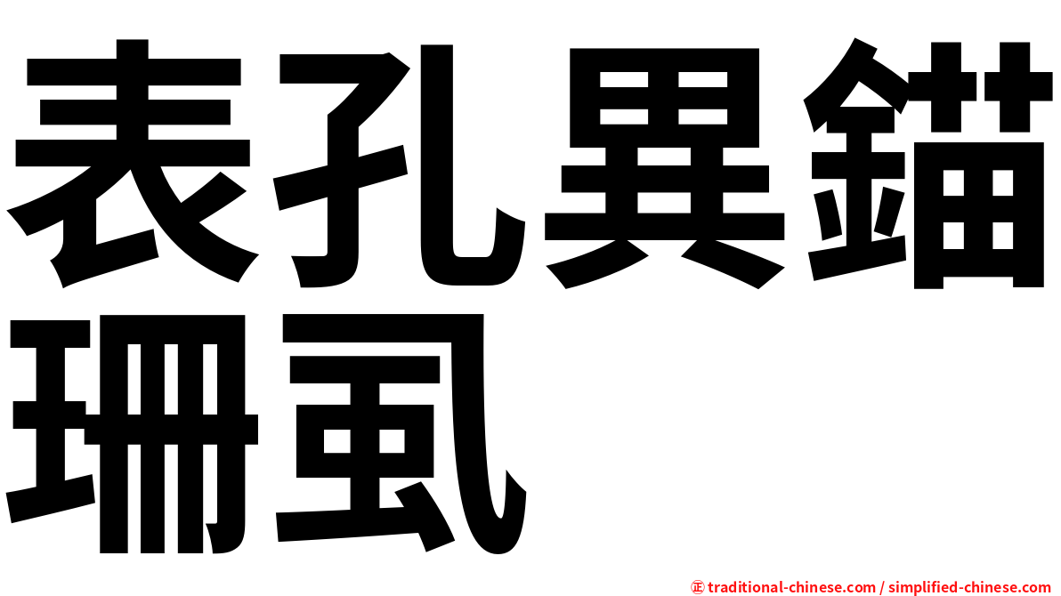 表孔異錨珊虱