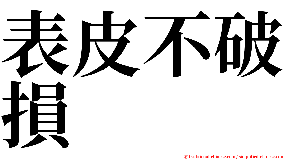 表皮不破損 serif font