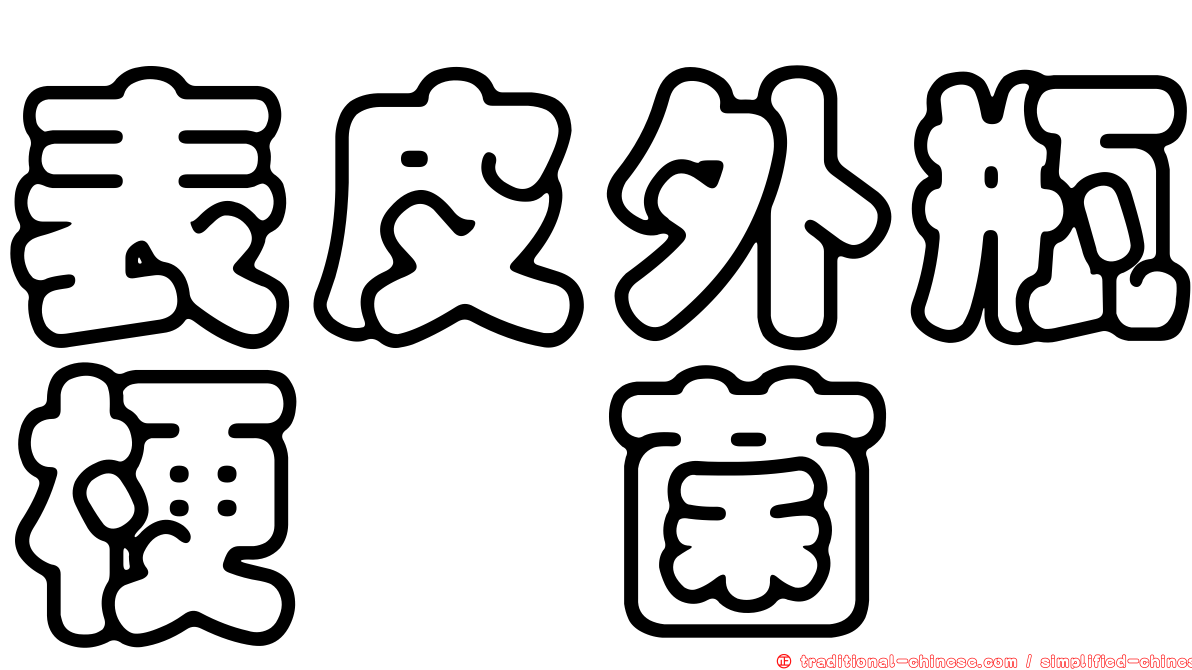 表皮外瓶梗孢菌