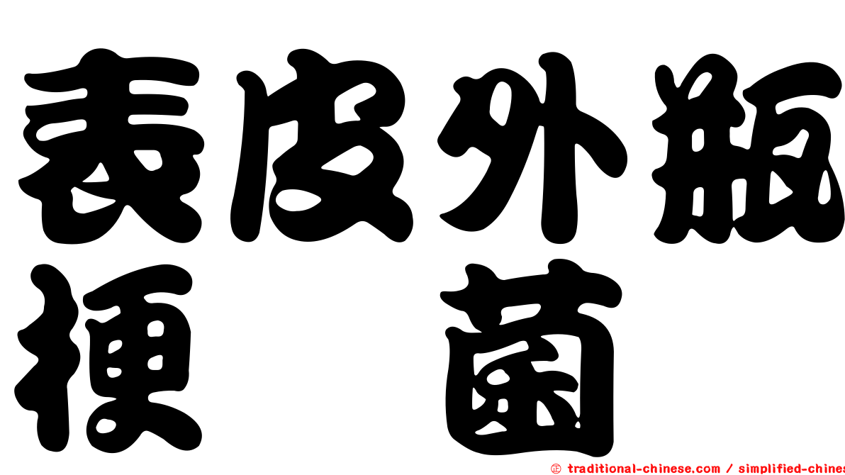 表皮外瓶梗孢菌