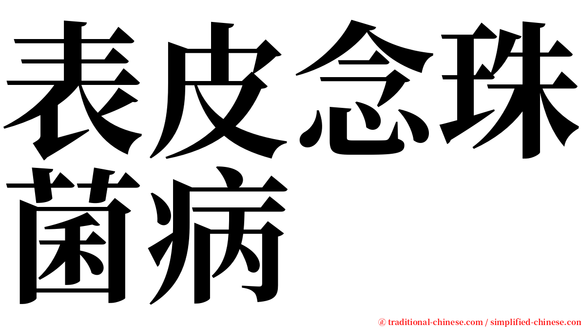表皮念珠菌病 serif font