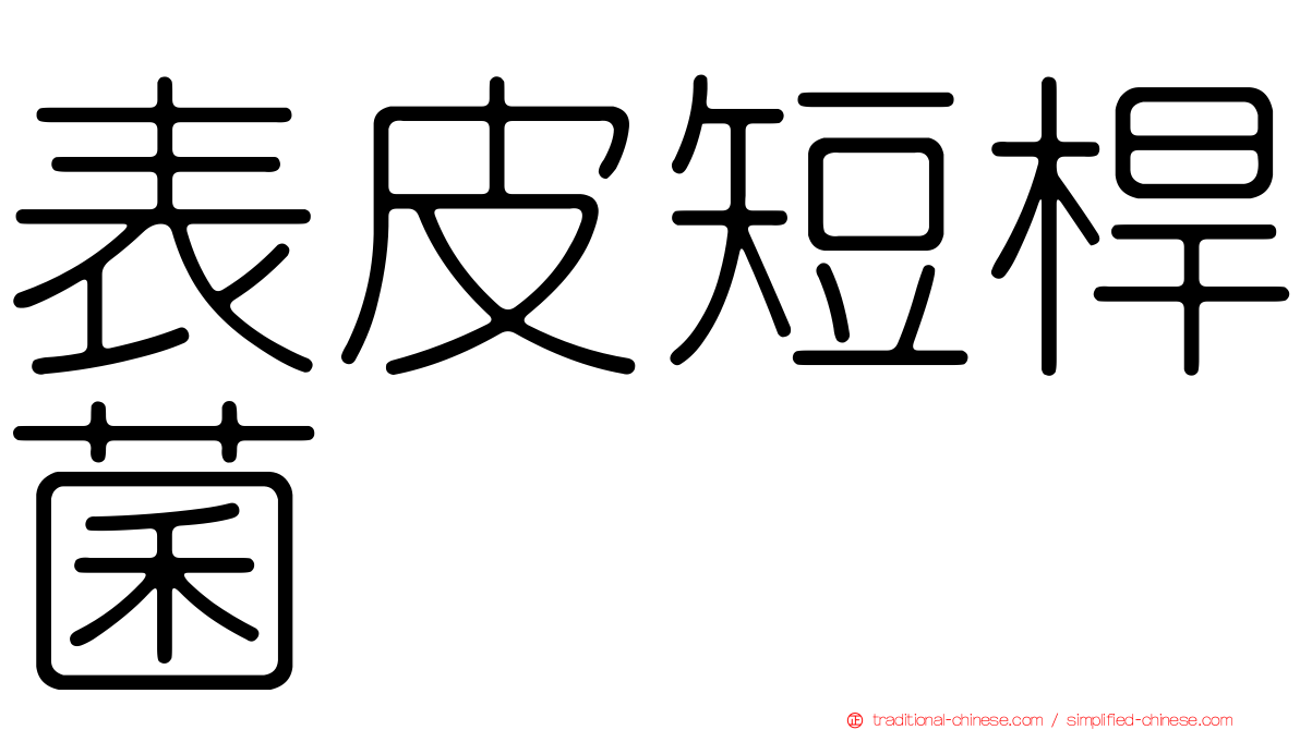 表皮短桿菌