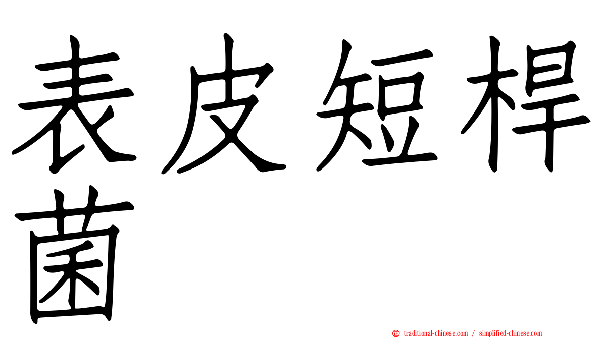 表皮短桿菌