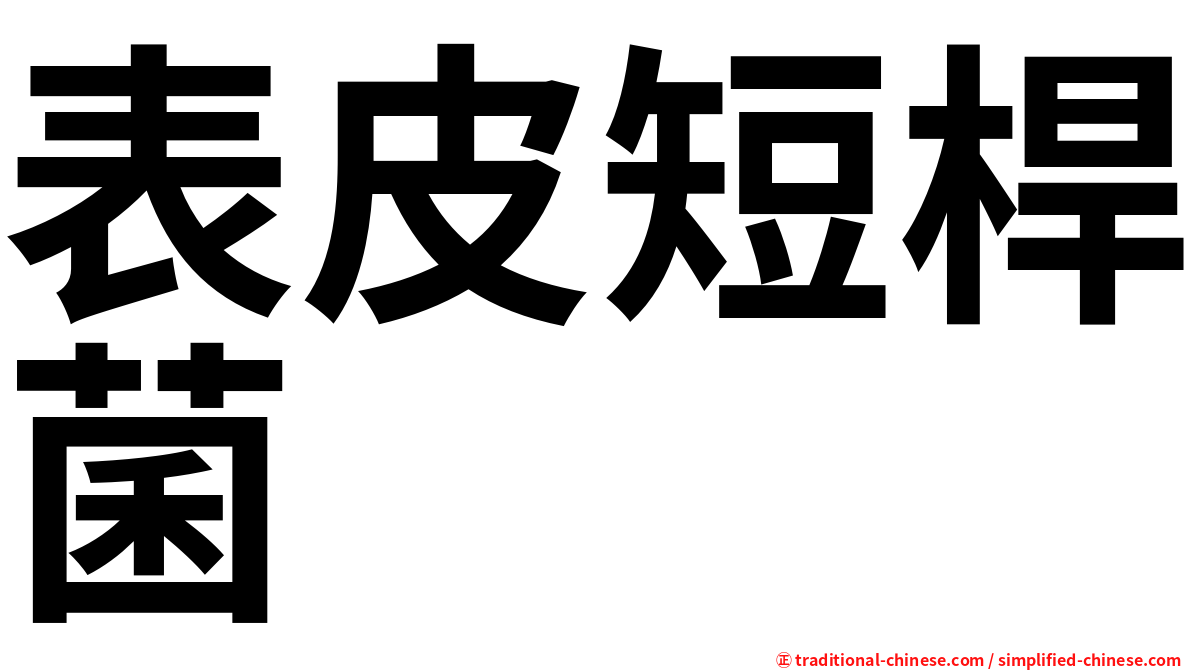表皮短桿菌