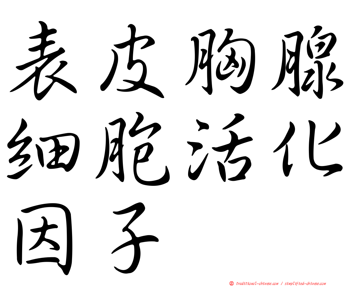 表皮胸腺細胞活化因子