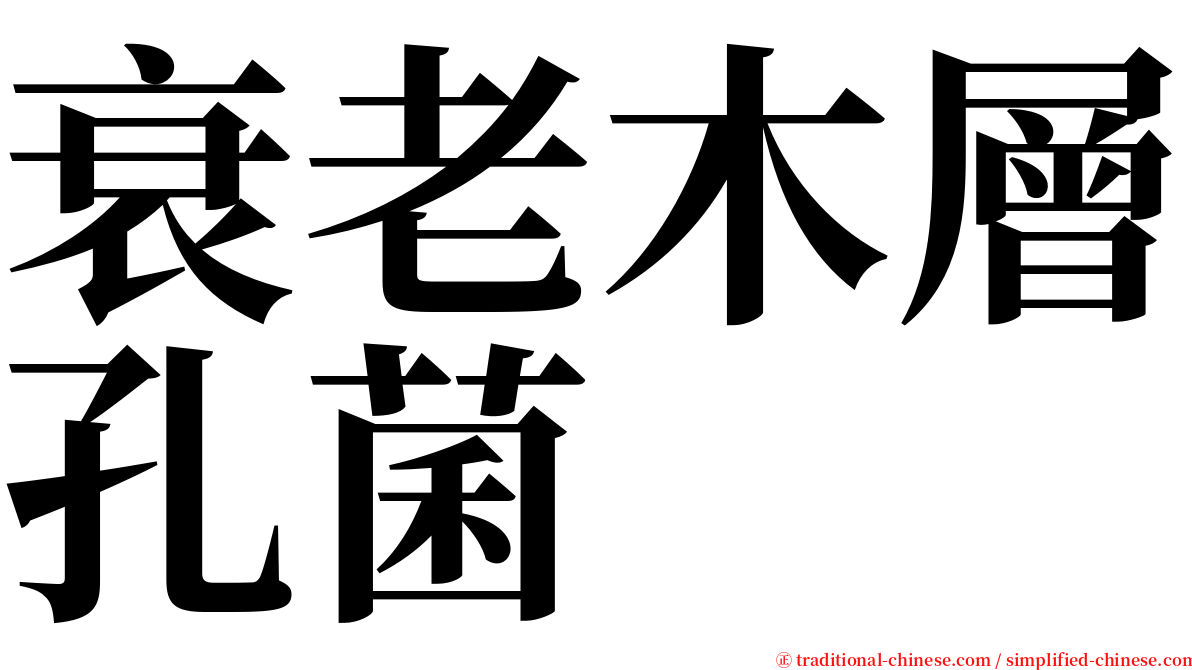 衰老木層孔菌 serif font