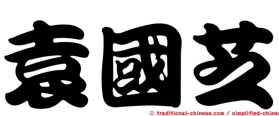 袁國芝