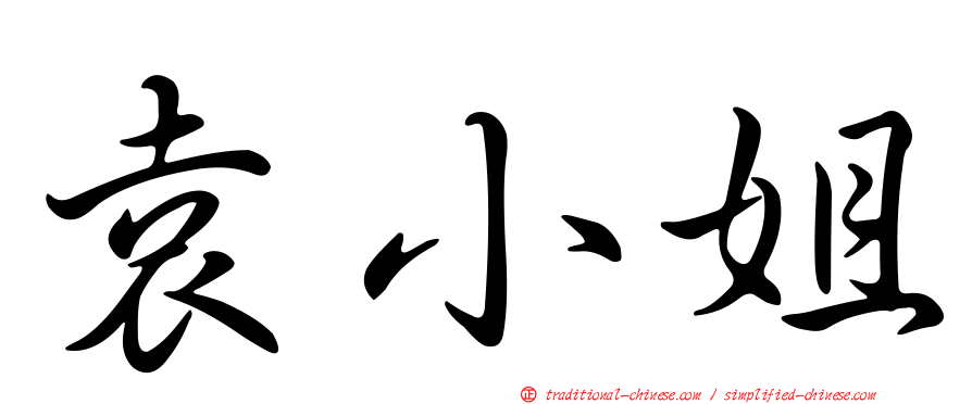 袁小姐
