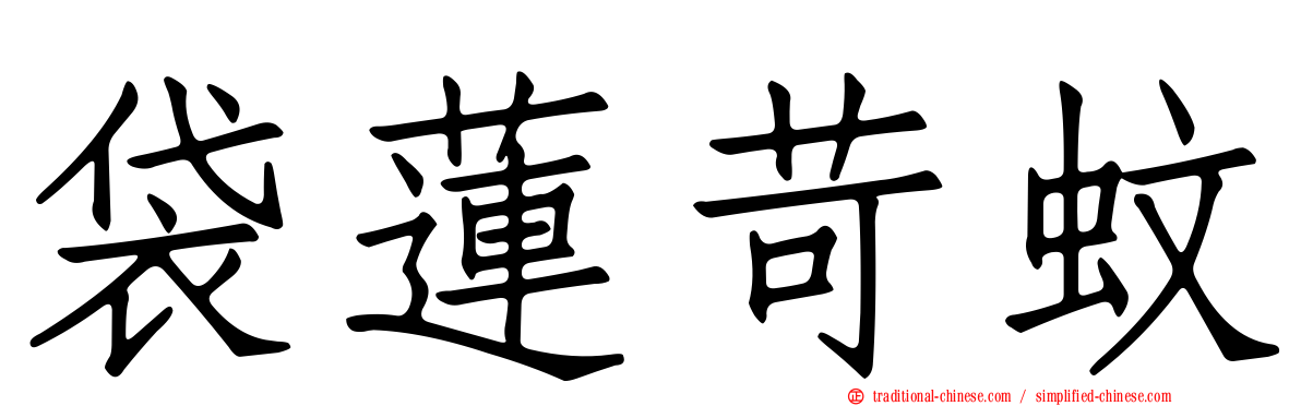 袋蓮苛蚊