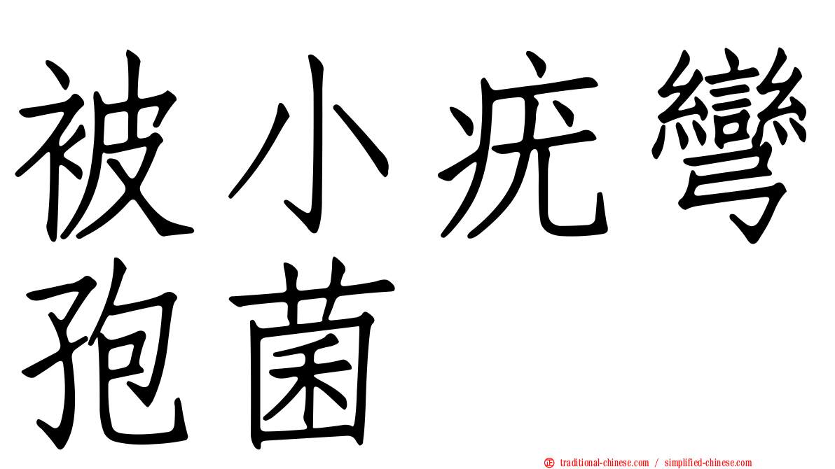 被小疣彎孢菌