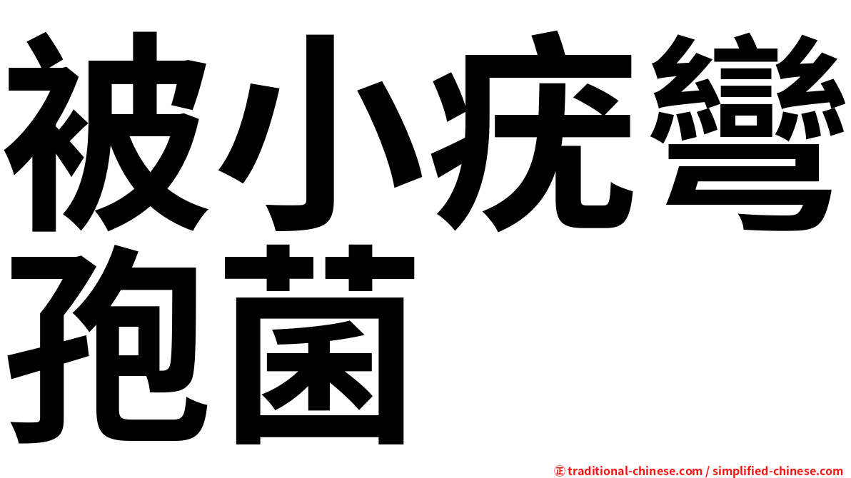被小疣彎孢菌