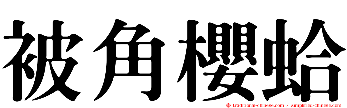 被角櫻蛤