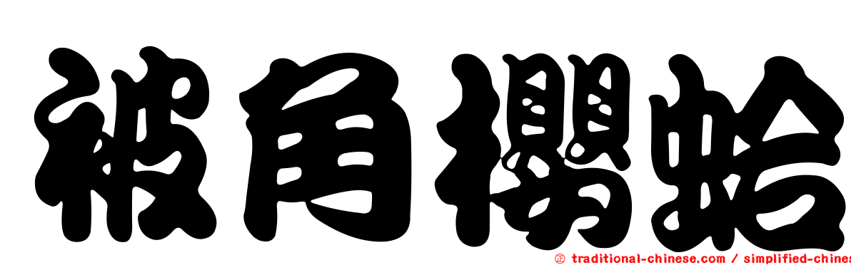 被角櫻蛤