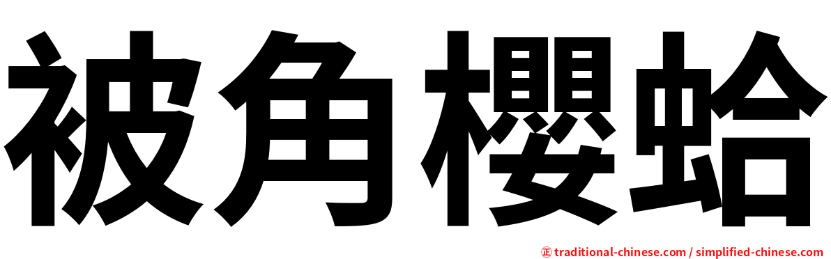 被角櫻蛤