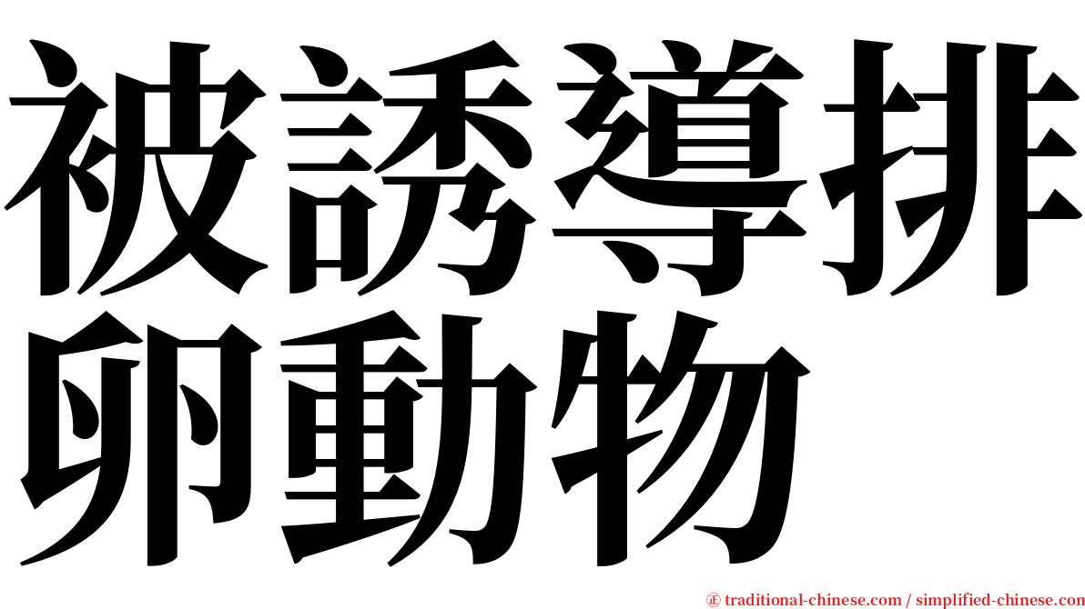 被誘導排卵動物 serif font