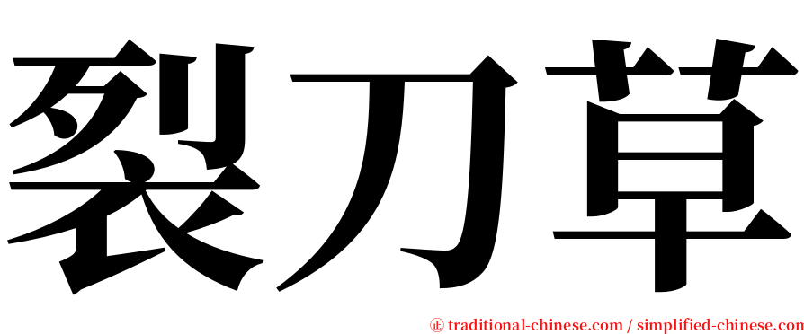 裂刀草 serif font