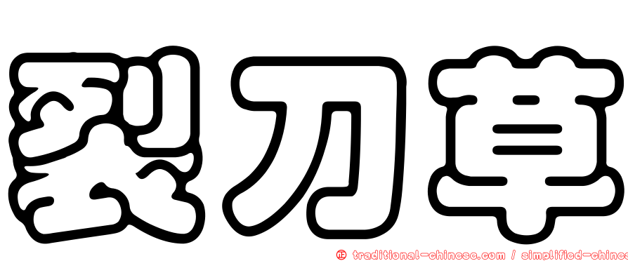 裂刀草