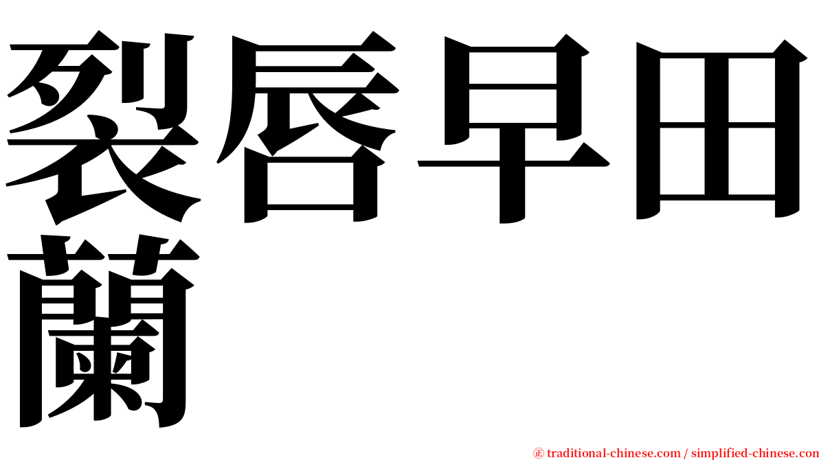 裂唇早田蘭 serif font