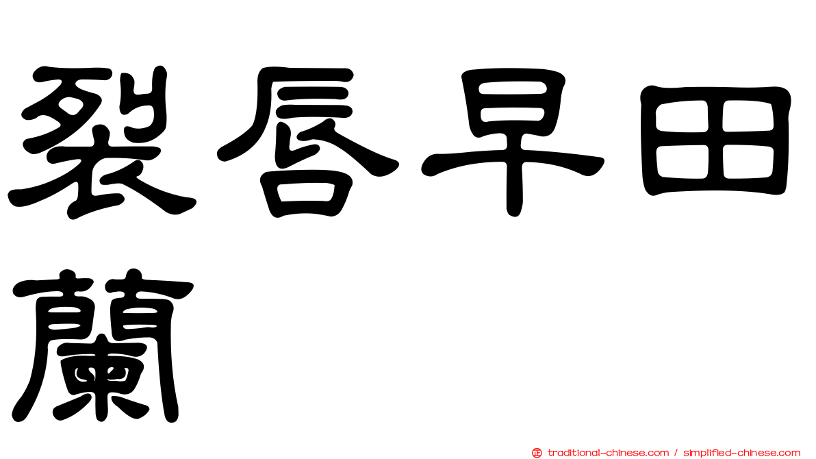 裂唇早田蘭