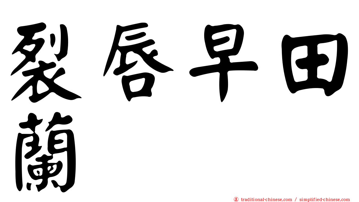 裂唇早田蘭