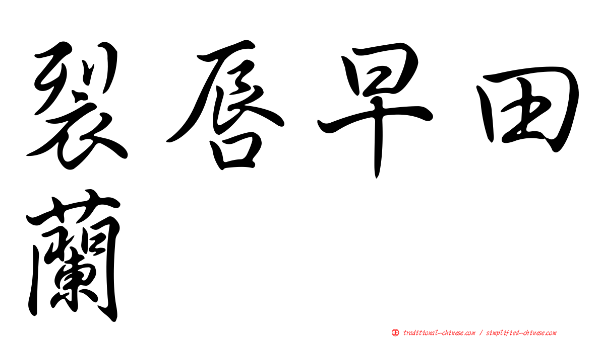 裂唇早田蘭