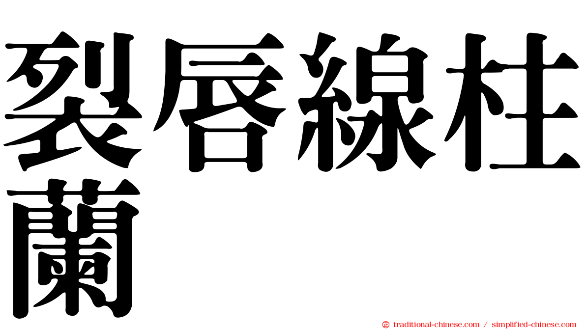 裂唇線柱蘭