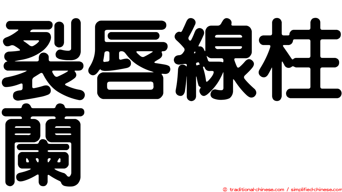 裂唇線柱蘭