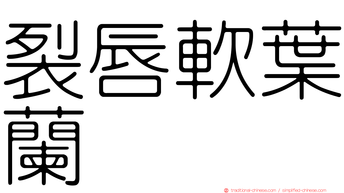 裂唇軟葉蘭