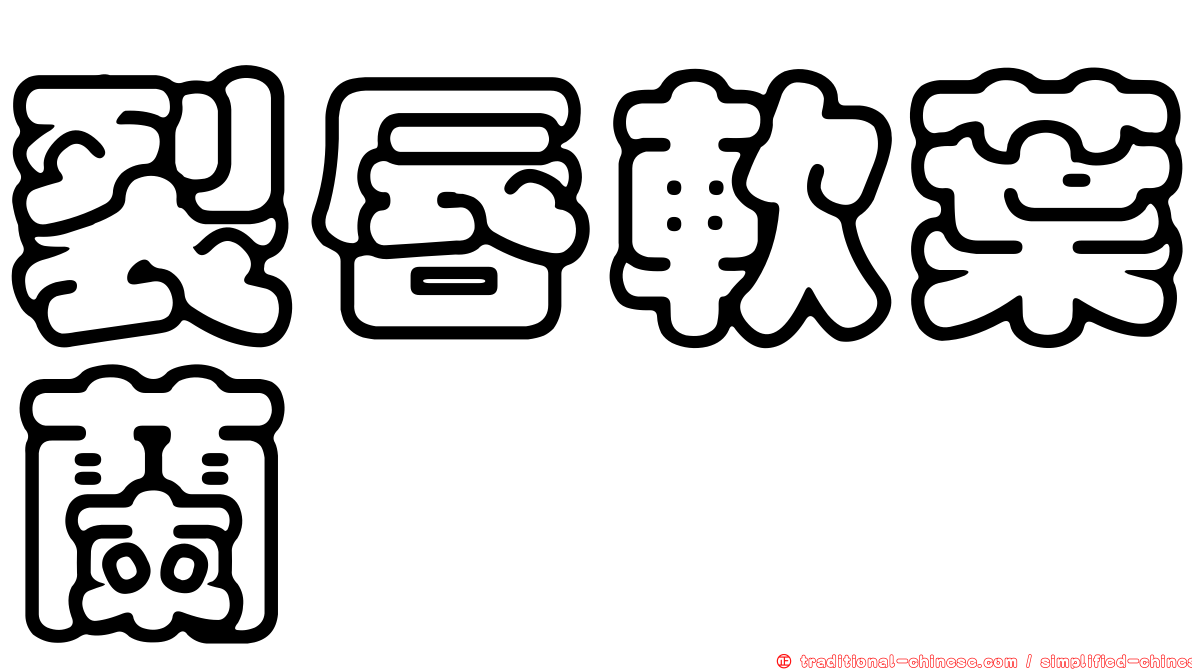 裂唇軟葉蘭