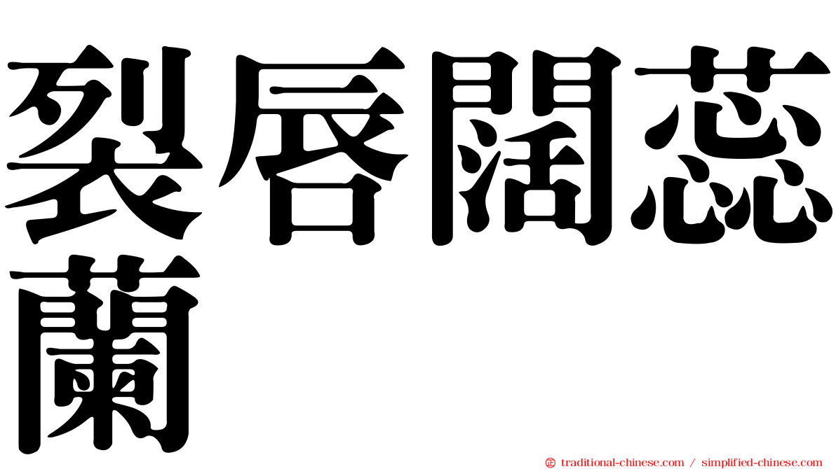 裂唇闊蕊蘭