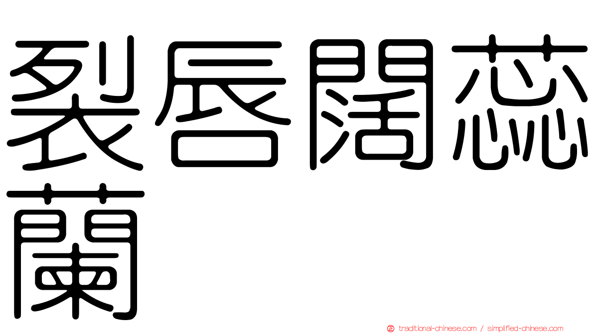 裂唇闊蕊蘭