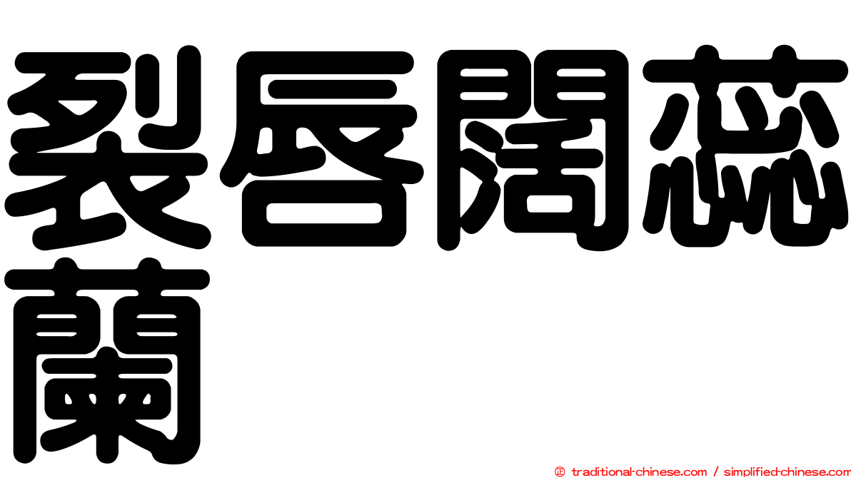 裂唇闊蕊蘭
