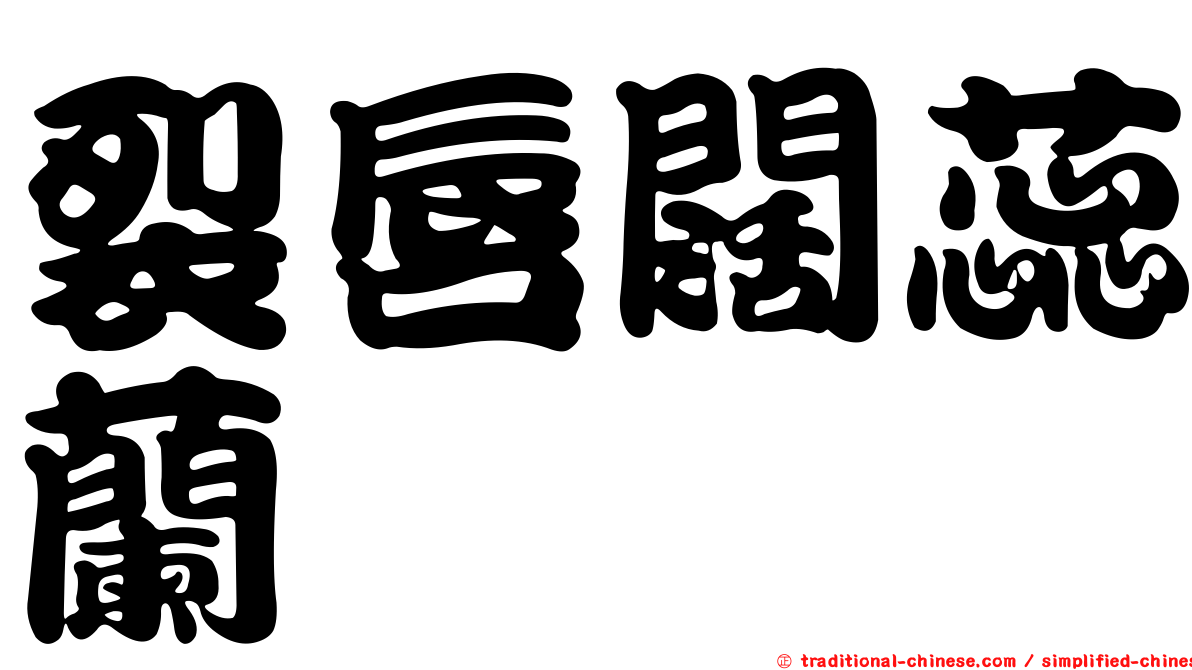裂唇闊蕊蘭