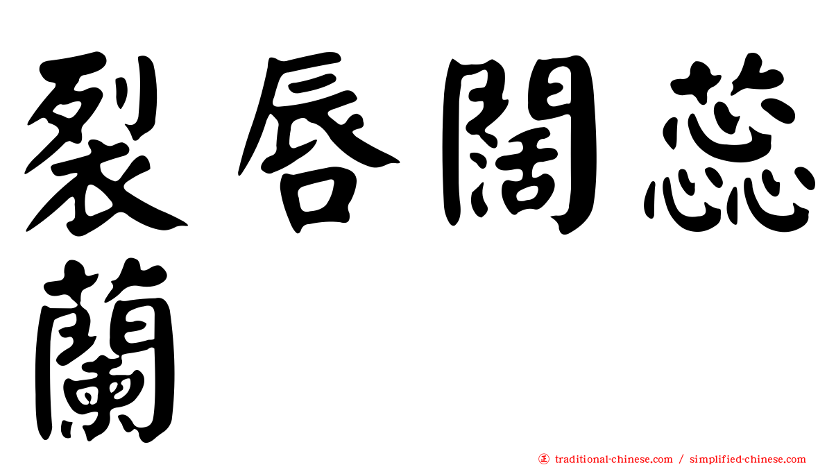 裂唇闊蕊蘭