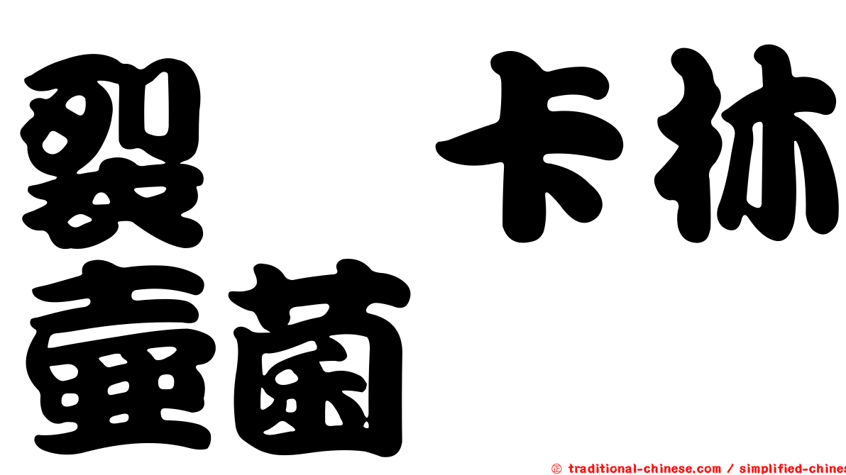 裂孢卡林壺菌