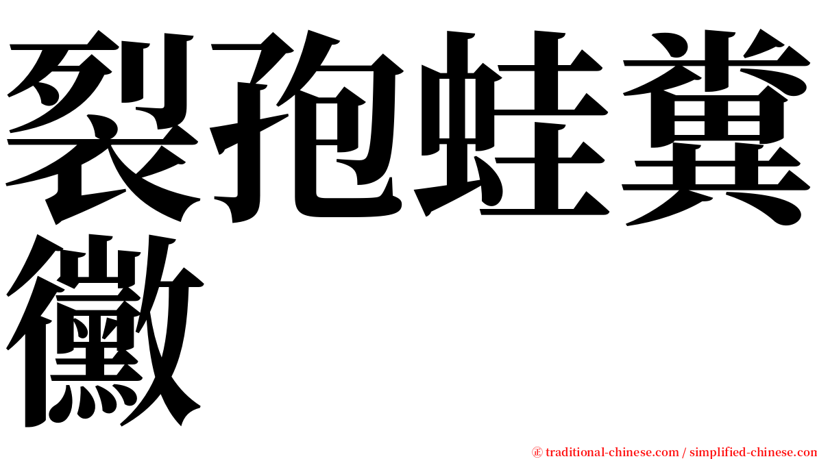 裂孢蛙糞黴 serif font