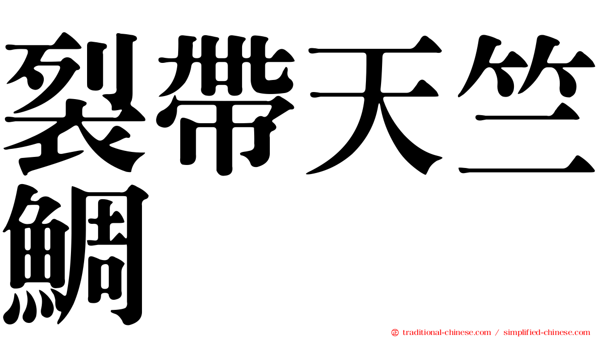 裂帶天竺鯛