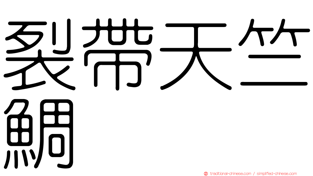 裂帶天竺鯛