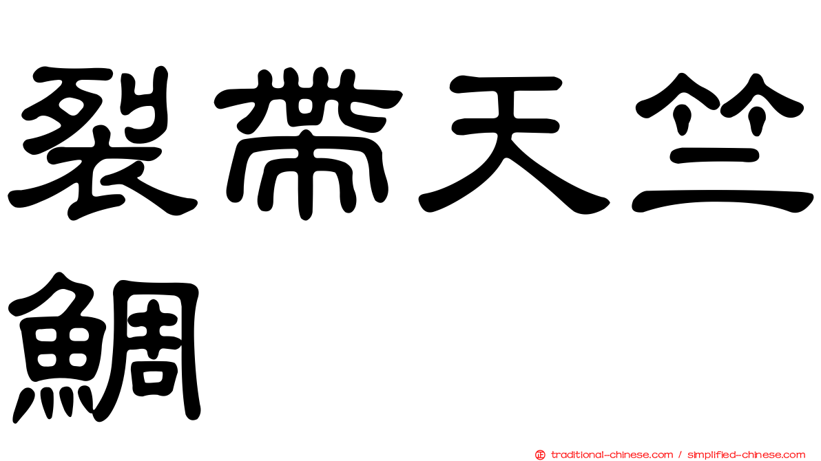 裂帶天竺鯛