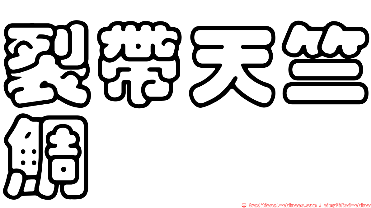 裂帶天竺鯛