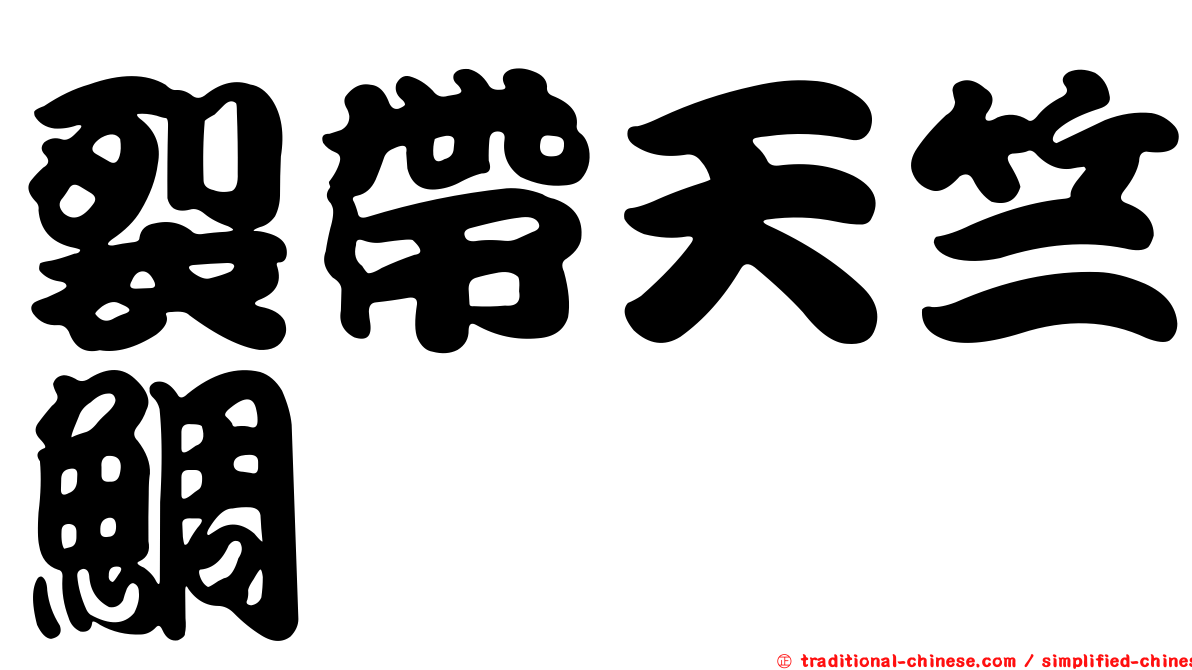 裂帶天竺鯛