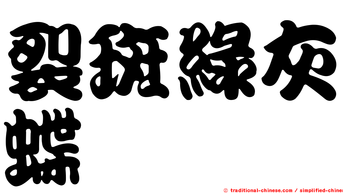 裂斑綠灰蝶